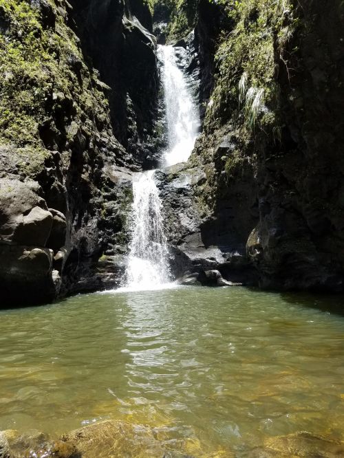 A serene waterfall cascading into a clear pool, surrounded by lush green rocks and vegetation.