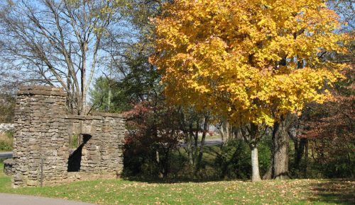A vibrant yellow tree stands beside a stone ruin, surrounded by greenery and autumn foliage.