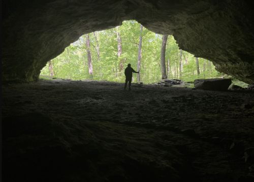 A silhouette of a person stands inside a cave, framed by a bright green forest outside.