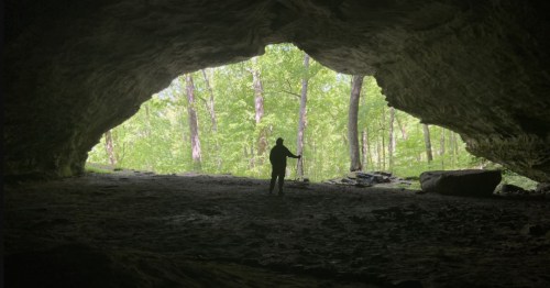 A silhouette of a person standing in a cave entrance, framed by lush green trees and natural light.