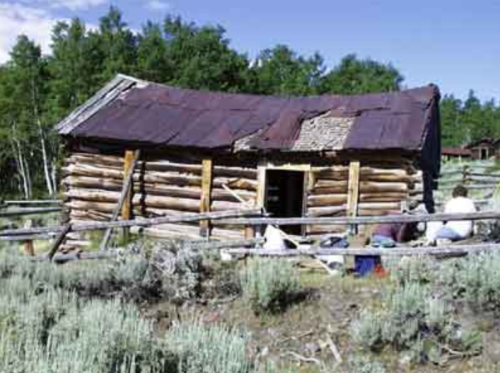 A rustic log cabin with a metal roof, surrounded by greenery and a wooden fence, with people working nearby.