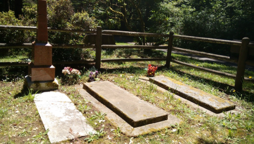 A peaceful cemetery scene with three gravestones surrounded by greenery and a wooden fence.