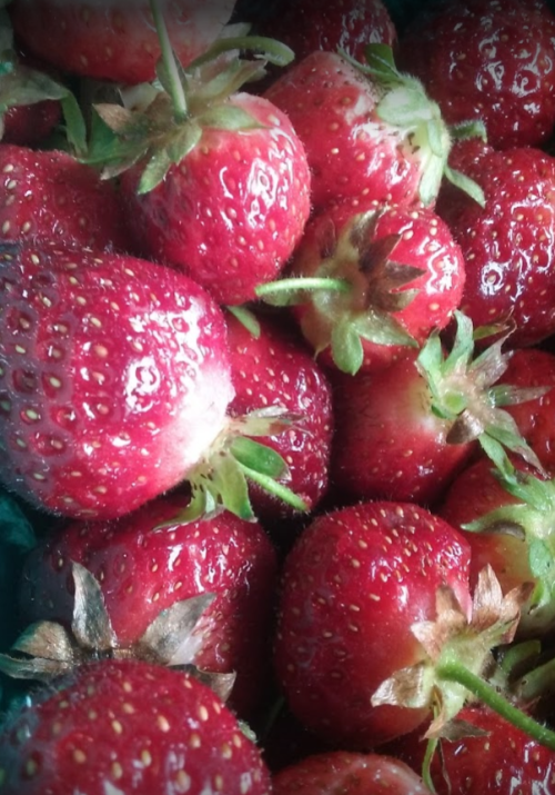 A close-up of fresh, ripe strawberries with green leaves, showcasing their vibrant red color and textured surface.