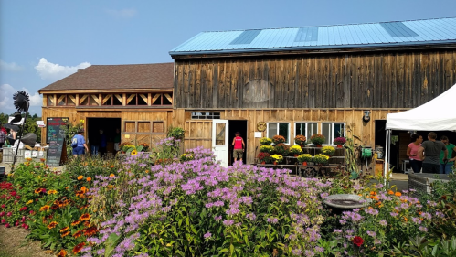 A rustic barn surrounded by colorful flowers and people enjoying a sunny day at an outdoor event.