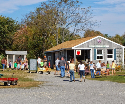 A busy farm stand with people shopping, children playing, and a rustic building surrounded by trees on a sunny day.