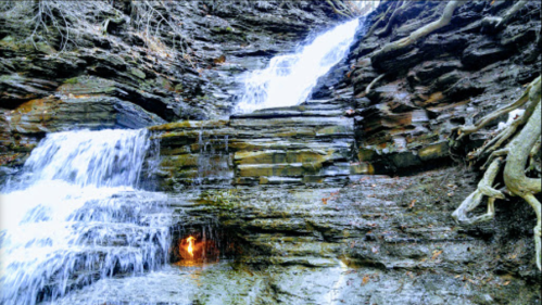 A serene waterfall cascading down rocky cliffs, surrounded by earthy tones and tree roots.