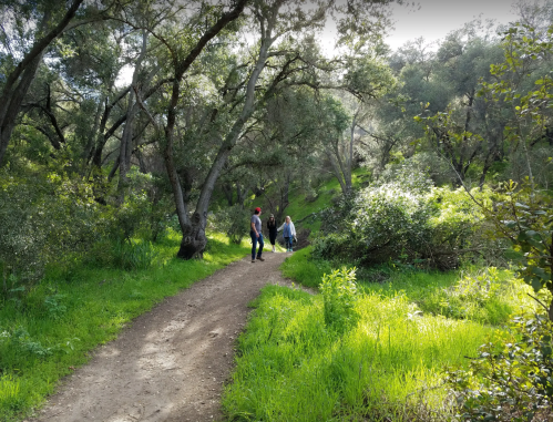 Two people walk along a dirt path in a lush, green forest with trees and shrubs surrounding them.
