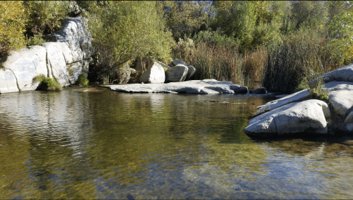 A serene river scene with smooth rocks, clear water, and lush greenery along the banks under a bright blue sky.