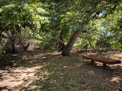 A peaceful outdoor scene featuring a bench under lush trees along a dirt path.