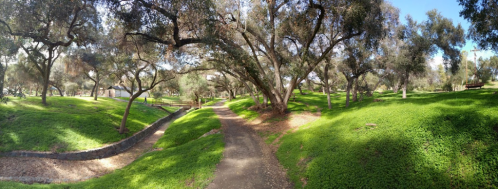 A panoramic view of a lush green park with trees and a winding path under a clear blue sky.