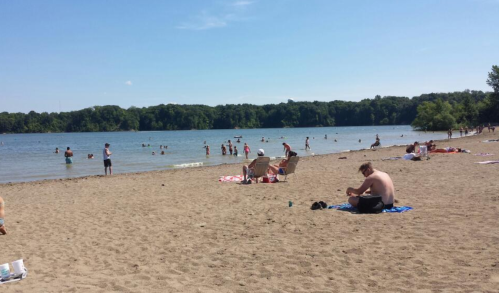 A sandy beach with people swimming and relaxing by the water on a sunny day, surrounded by trees.