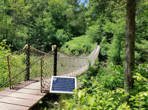 A rope suspension bridge surrounded by lush greenery, with a sign nearby detailing its history.