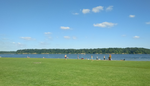 A serene lakeside view with green grass, a clear blue sky, and people enjoying the water in the distance.