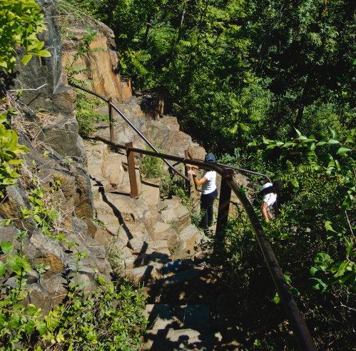 Two hikers navigate a rocky trail surrounded by lush greenery, using a railing for support.