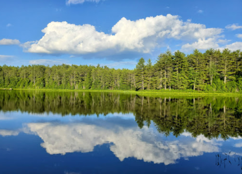 A serene lake reflecting fluffy clouds and a lush green forest under a bright blue sky.