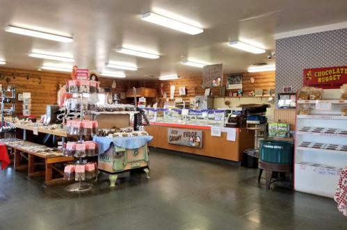 Interior of a cozy candy shop with display cases, shelves of treats, and a rustic wooden decor.