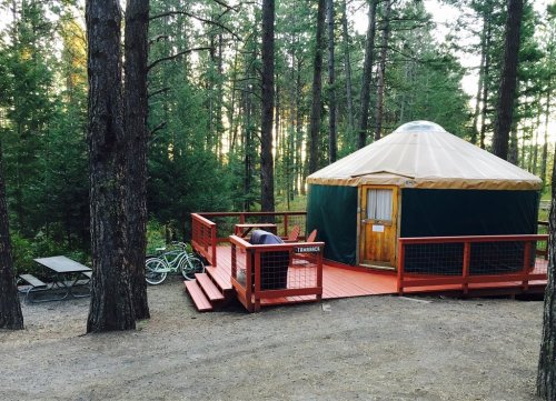 A green yurt with a wooden deck surrounded by tall trees, with a picnic table and bicycles nearby.