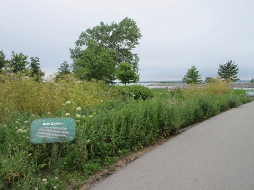 A pathway lined with lush greenery and rain garden signs, leading to a serene waterfront view under a cloudy sky.