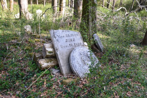 A weathered gravestone lies among trees and foliage, partially leaning against logs in a forested area.