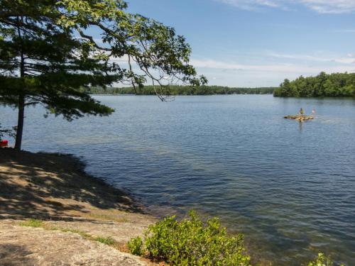 A serene lake scene with trees, a rocky shore, and a small island in the distance under a clear blue sky.
