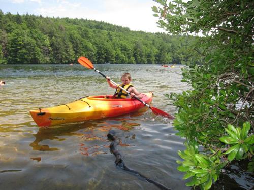 A person in a yellow kayak paddles on a calm lake surrounded by green trees.