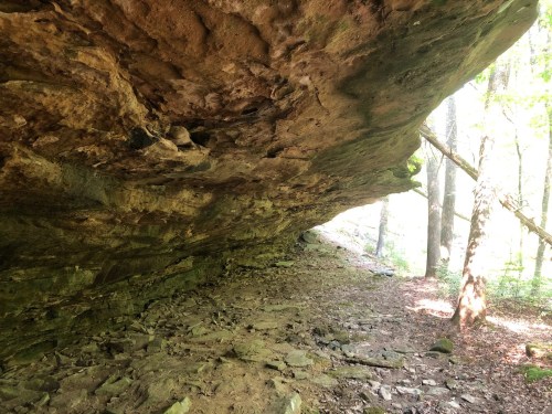 A rocky overhang in a forest, with sunlight filtering through trees and illuminating the ground below.