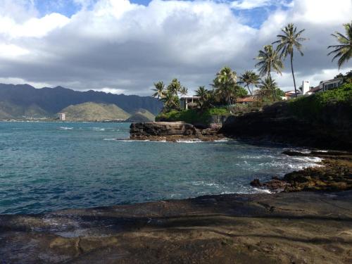 A scenic coastal view with palm trees, rocky shoreline, and mountains under a partly cloudy sky.