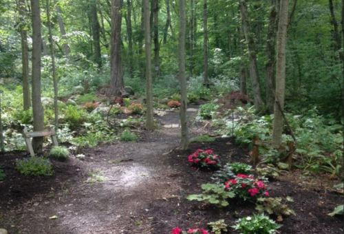 A serene forest path surrounded by lush greenery and colorful flowers, inviting exploration and tranquility.