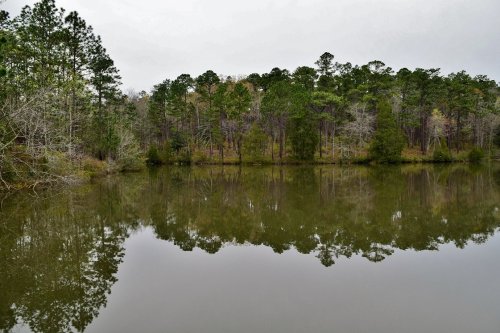 A calm lake reflecting trees and a cloudy sky, surrounded by lush greenery.