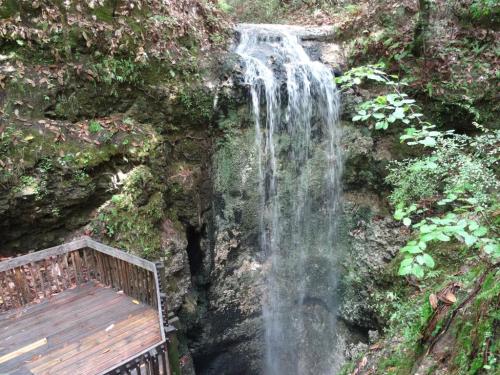 A serene waterfall cascading over rocky terrain, surrounded by lush greenery and a wooden viewing platform.