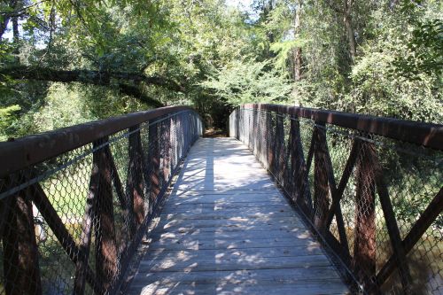 A wooden bridge with a metal railing spans a lush, green forested area, surrounded by trees and sunlight.