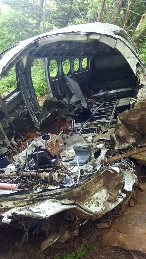Wreckage of a crashed aircraft surrounded by dense greenery, showing twisted metal and exposed interior components.