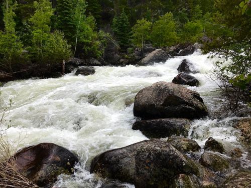 Rushing river water flows over large rocks, surrounded by lush green trees and a rocky landscape.