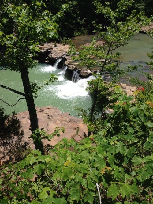 A serene waterfall cascades over rocks into a green river, surrounded by lush trees and foliage.