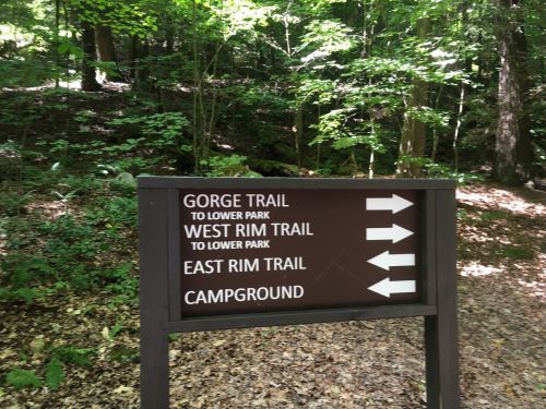 Trail sign in a forest, indicating directions to Gorge Trail, West Rim Trail, East Rim Trail, and Campground.