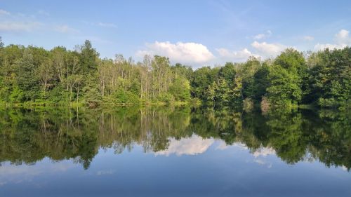 A serene lake surrounded by lush green trees, reflecting the blue sky and clouds above.
