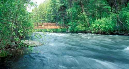 A serene river flows through lush greenery, with a wooden bridge crossing over it in the background.