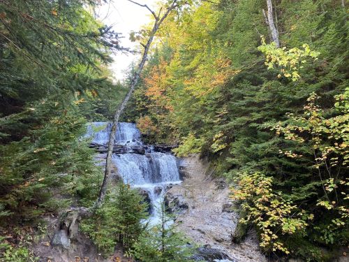 A serene waterfall cascades through lush greenery and autumn-colored trees in a tranquil forest setting.