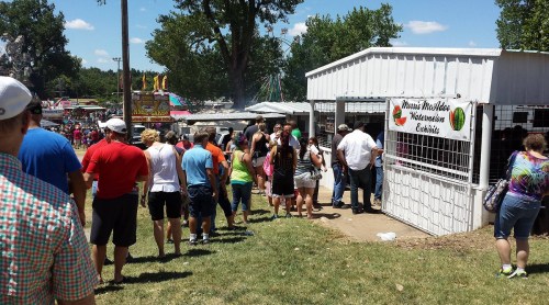 A crowd lines up outside a food stand at a fair, with colorful attractions and trees in the background.