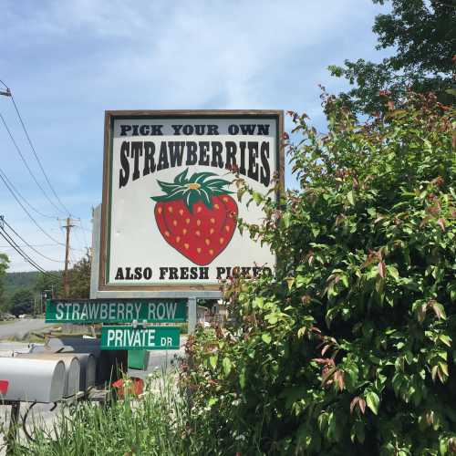 Sign for a strawberry picking farm, featuring a large strawberry graphic and directions to "Private Drive."