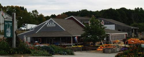 A rustic farm market with a gray building, surrounded by colorful pumpkins and flowers, set against a wooded backdrop.