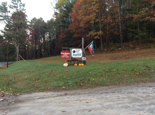 A roadside sign with pumpkins and a flag, surrounded by trees in autumn colors.