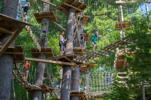 A group of people navigating a treetop ropes course among tall trees, with wooden platforms and rope bridges.