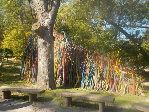 Colorful painted sticks create a vibrant structure beside a large tree in a park, with stone benches in the foreground.