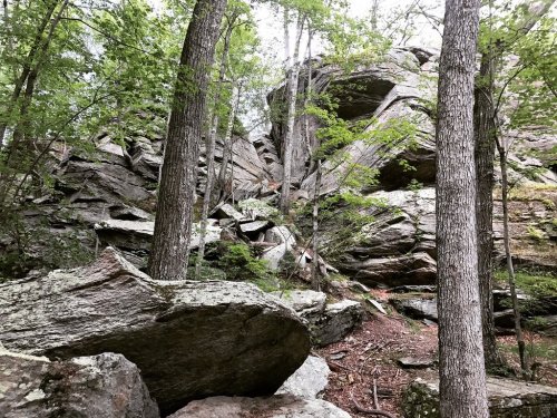 A rocky landscape surrounded by tall trees, showcasing large boulders and a natural, wooded environment.