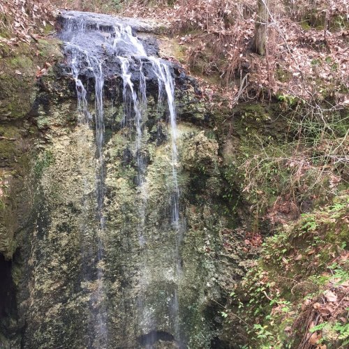 A small waterfall cascading over rocky terrain, surrounded by lush greenery and forest.