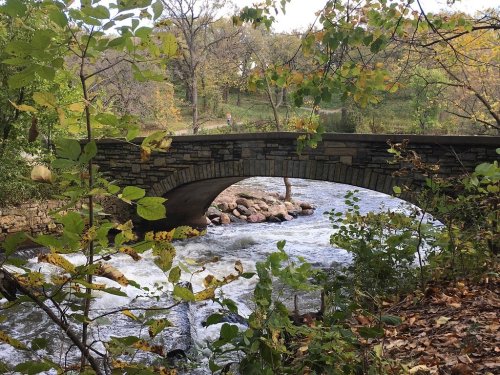 A stone bridge arches over a flowing river, surrounded by autumn foliage and trees.
