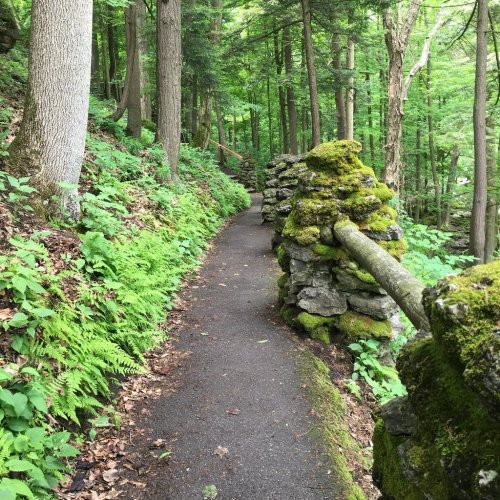 A winding path through a lush green forest, lined with moss-covered stone walls and dense trees.