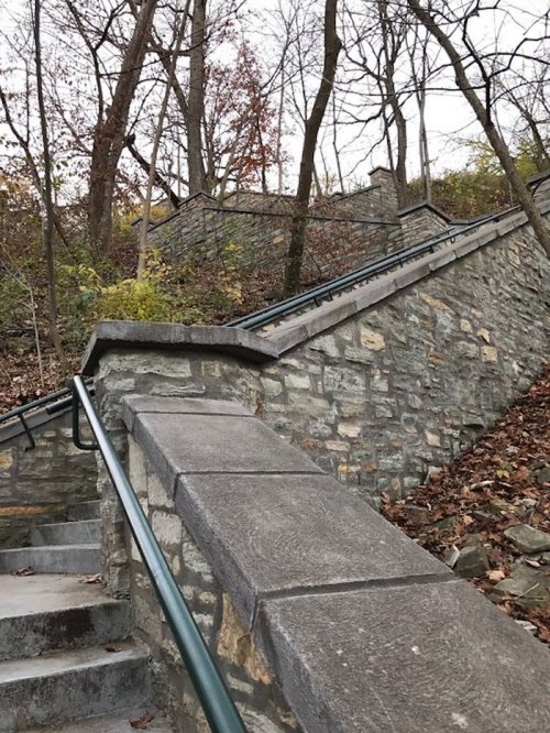 Stone steps lead up a hillside, surrounded by trees and autumn leaves. The path curves out of view.