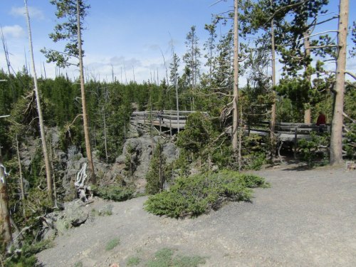 A wooden walkway winds through a forested area with tall trees and rocky terrain under a clear blue sky.